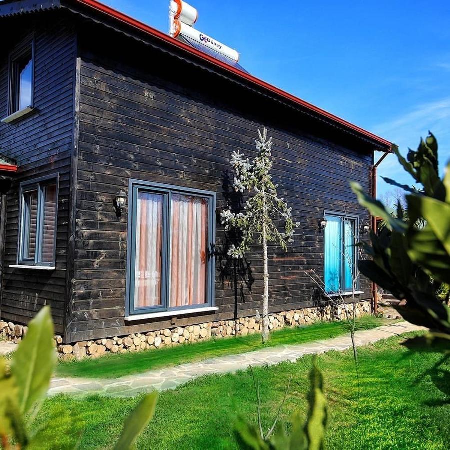 Cinarhan Villas 阿瓦 外观 照片